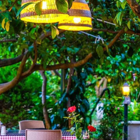 Nocleg ze śniadaniem Lemon Garden