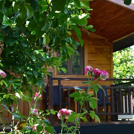 Lemon Garden Bed & Breakfast 2*