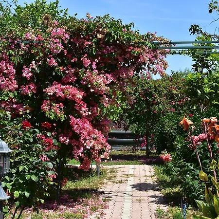 Lemon Garden 2* Cirali
